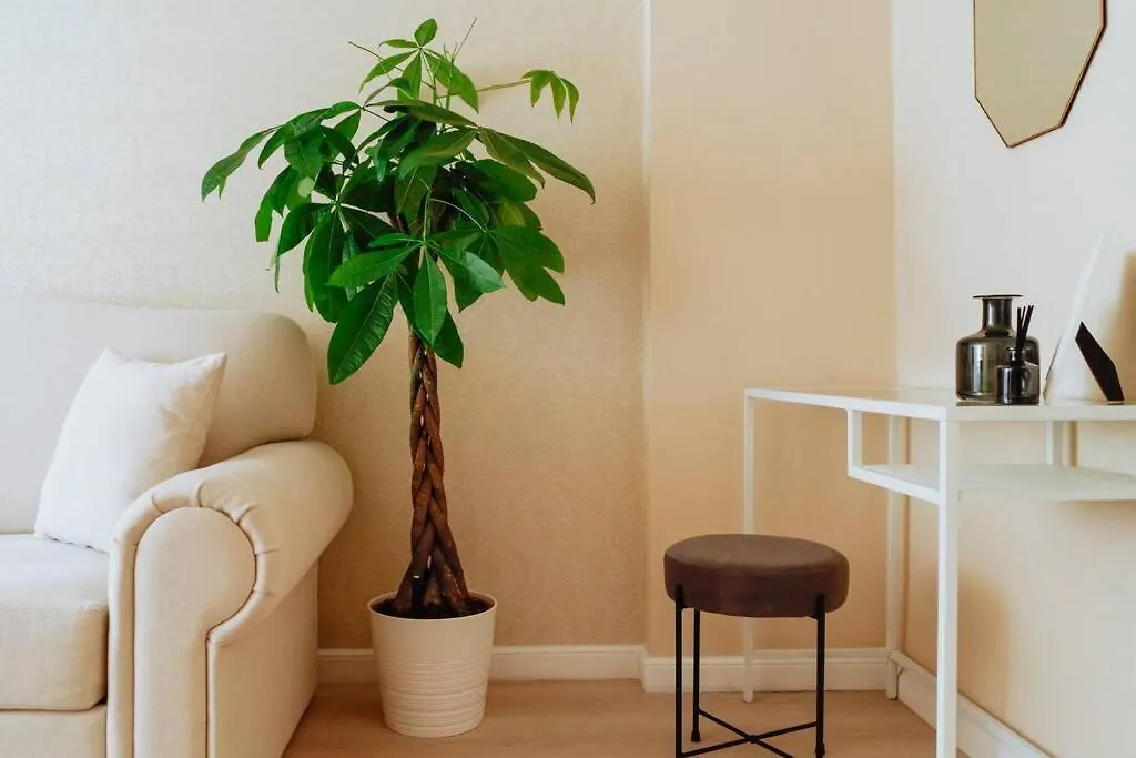 Elegant Vibes Apartment Next To Obor Market Bucharest Romania