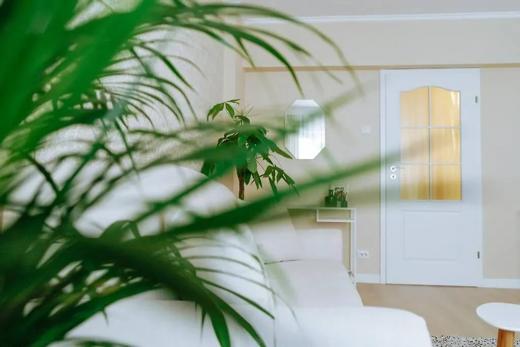 Elegant Vibes Apartment Next To Obor Market Bucharest